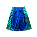 "Vivo" Basketball Shorts - Blue & Green
